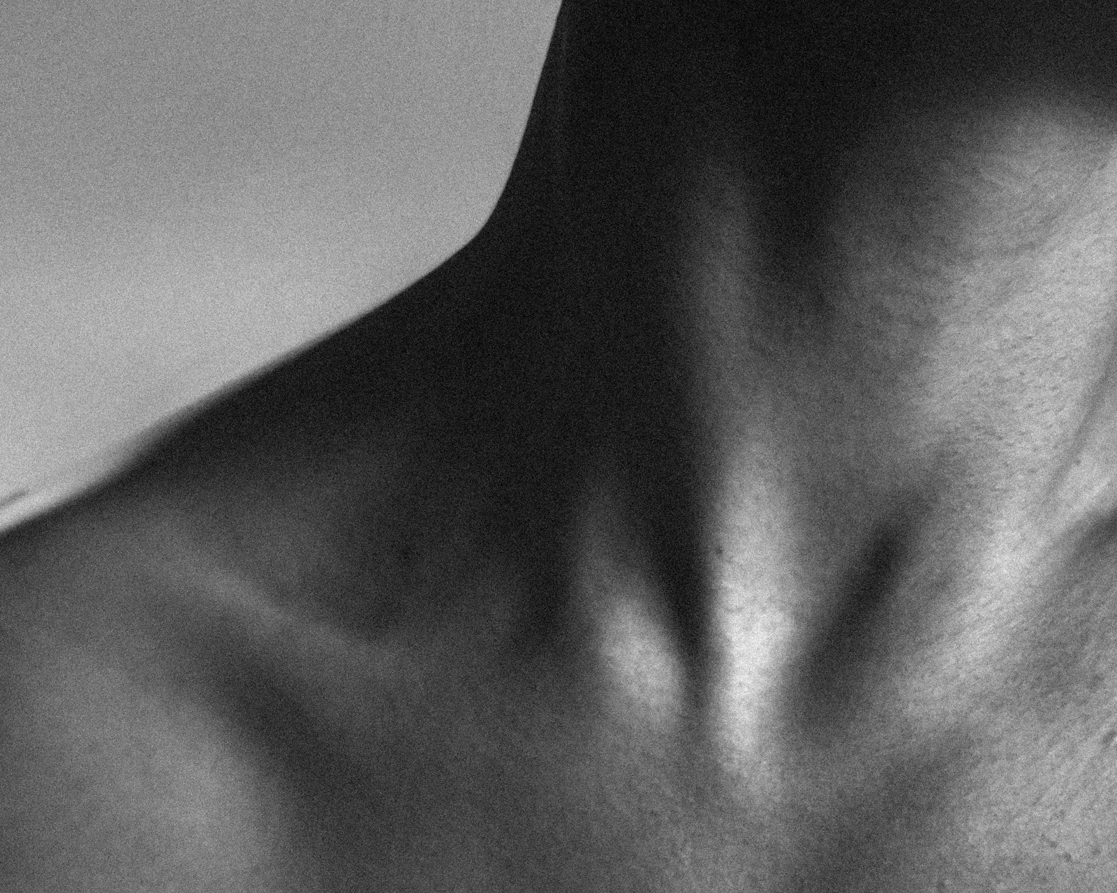 Shoulder line · trapezius study