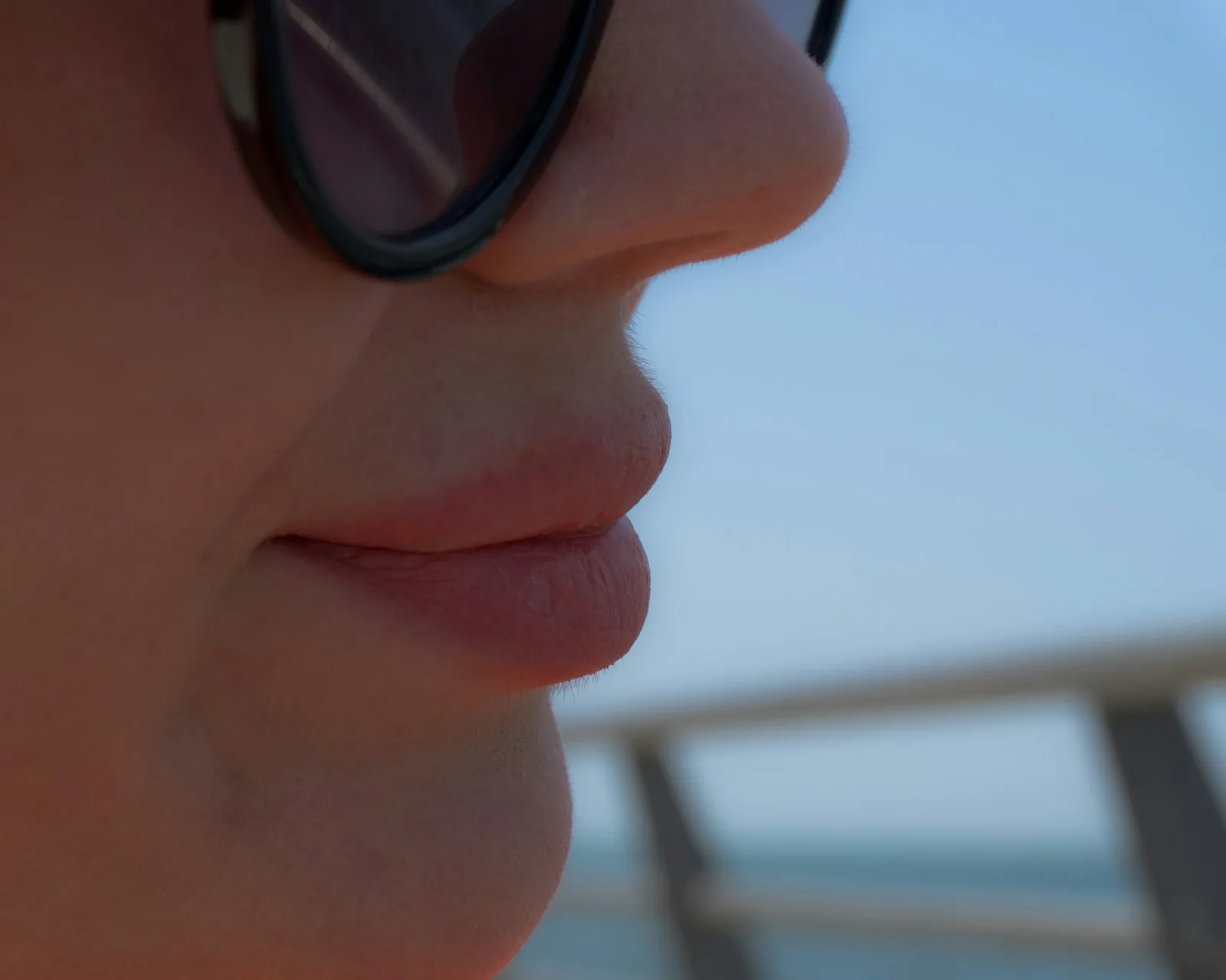 Nose tip · profile view