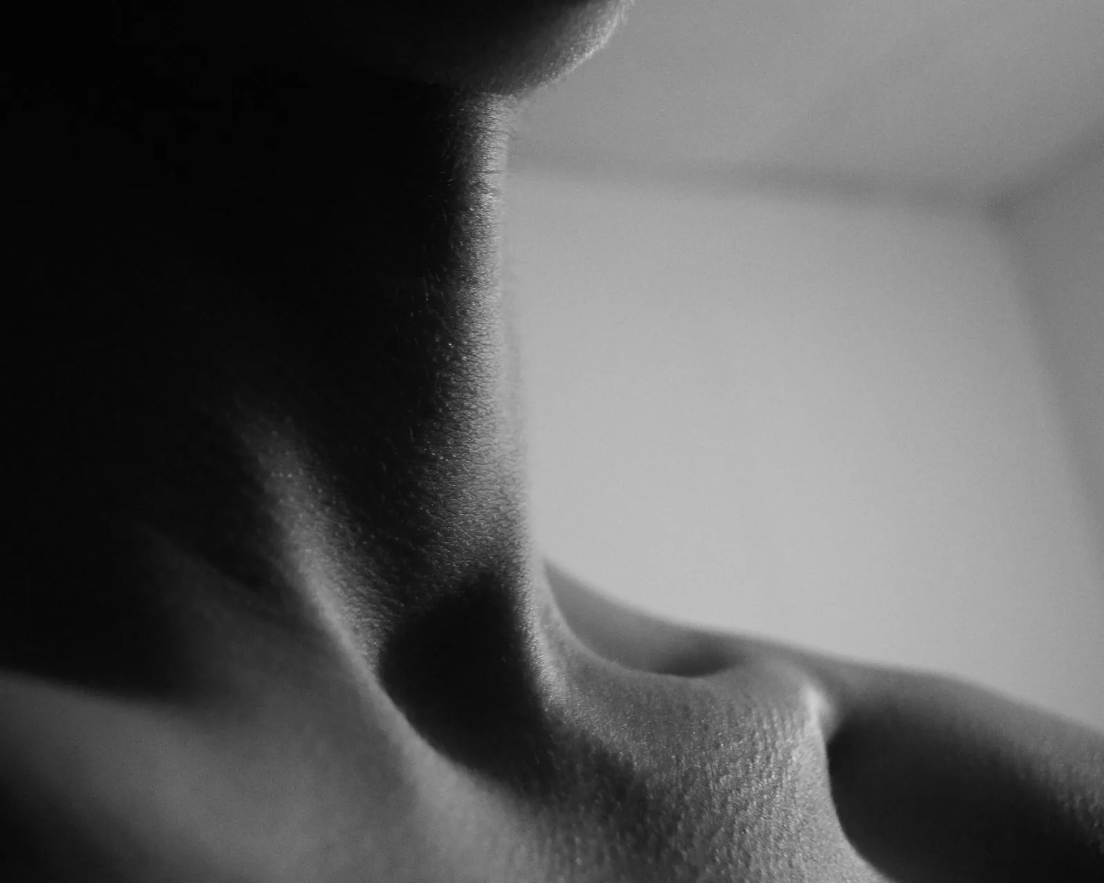 Neck profile · structural study
